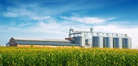 Stockage et manutention du grain (dans les entreprise agricoles)